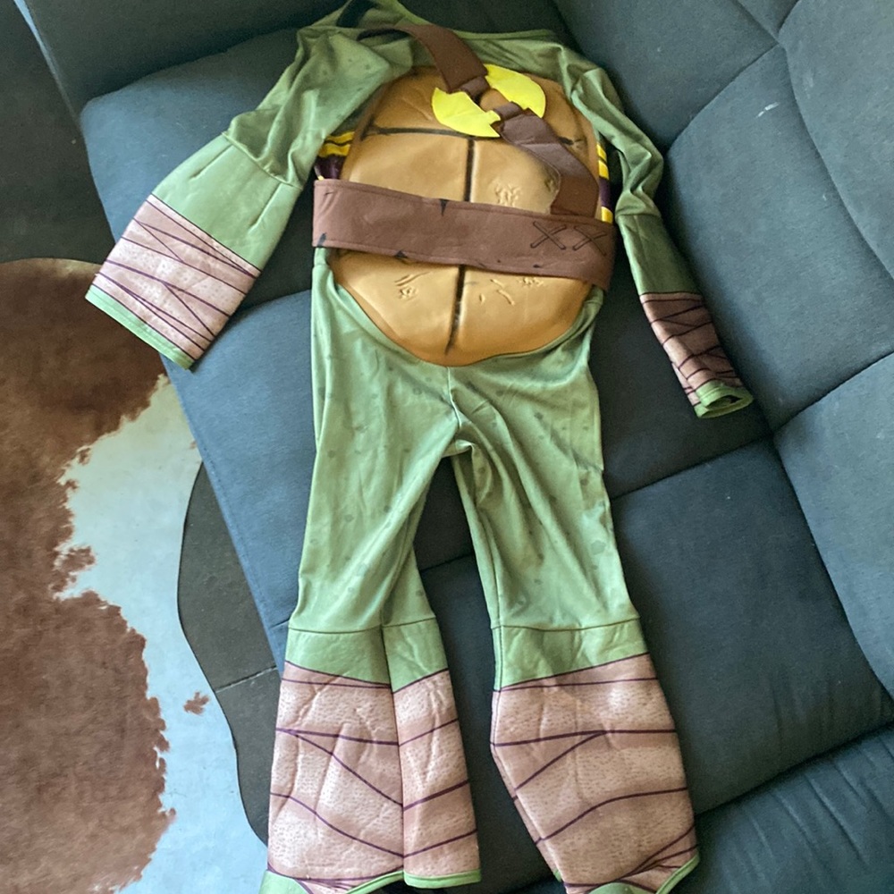 Ninja Turtle Costume